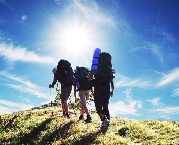 <p>Gap Year Adventures </p>