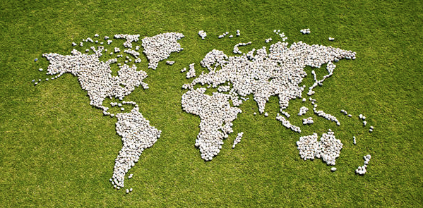 <p>World Map</p>