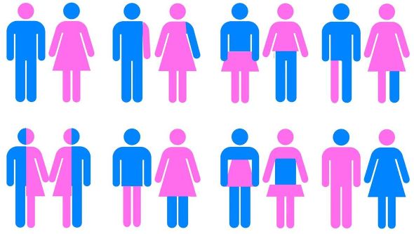 Seven Facts About Gender You Should Know | HuffPost Communities