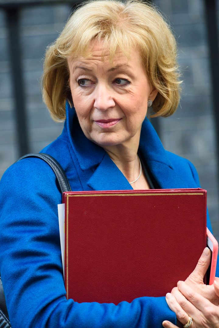 Andrea Leadsom MP, Secretary of State for Environment, Food and Rural Affairs
