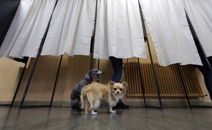 As a French specificity, blank vote is counted but not recognised, despite a steady increase of its usage in many elections i