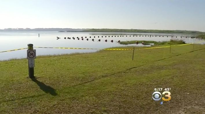 The 10-year-old was swimming at this central Florida lake when she was attacked by an alligator.