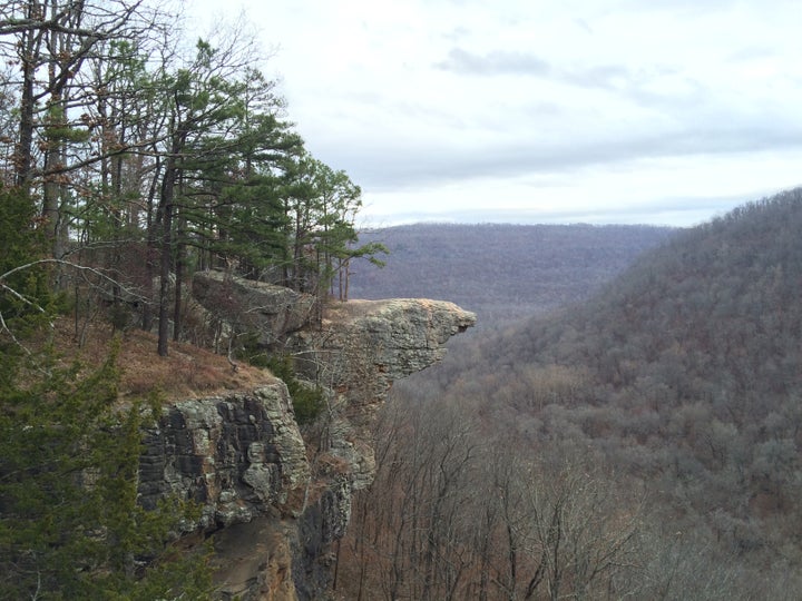 <p>Hawksbill Crag, the most photogenic and iconic geological feature of Arkansas nestled in the Ozark Mountains.</p>