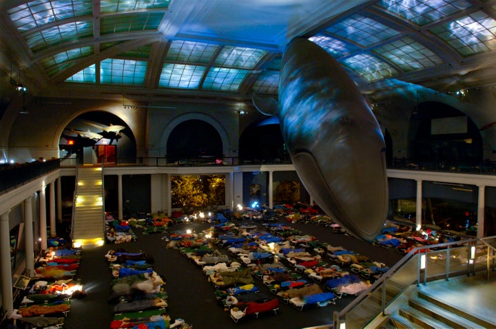 An image from a previous adult sleepover at the American Museum of Natural History, courtesy of AMNH.