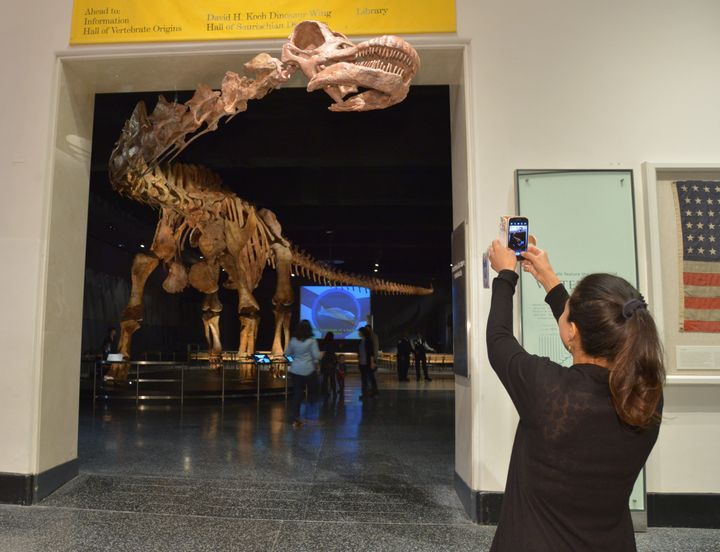 The 122-foot-long Titanosaur cast is too large to fit into the Miriam and Ira D Wallach Orientation Center, so part of its 39-foot-long neck extends out toward the elevator banks.