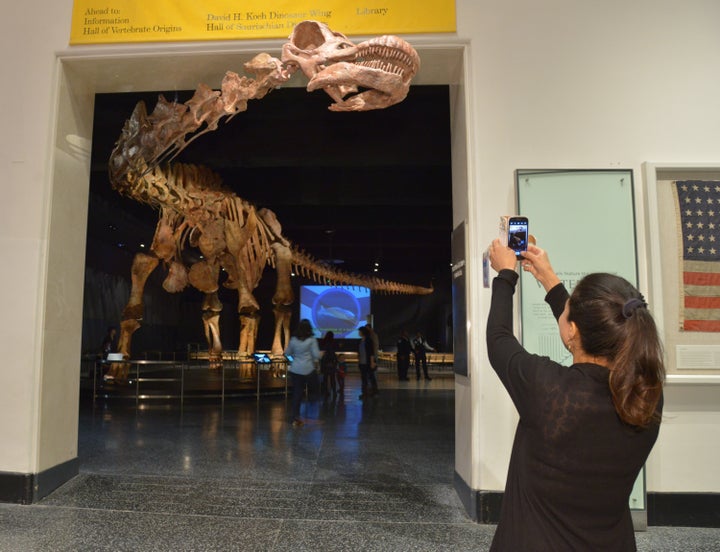 The 122-foot-long Titanosaur cast is too large to fit into the Miriam and Ira D Wallach Orientation Center, so part of its 39-foot-long neck extends out toward the elevator banks.