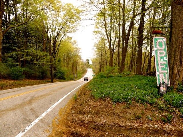 <p>Drive Connecticut </p>
