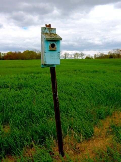 <p>CT Audubon Society, Pomfret CT</p>