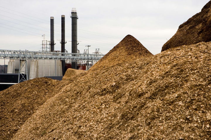 Wood yard, Schiller Station, Portsmouth, New Hampshire. One boiler at the four-unit plant was converted to wood in 2006 and has consumed more than five million tons of wood fuel. PSNH/Flickr, CC BY-ND