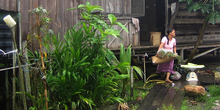 The indigenous Penan people, who live in Malaysia's Borneo state of Sarawak, depend on the rainforest.