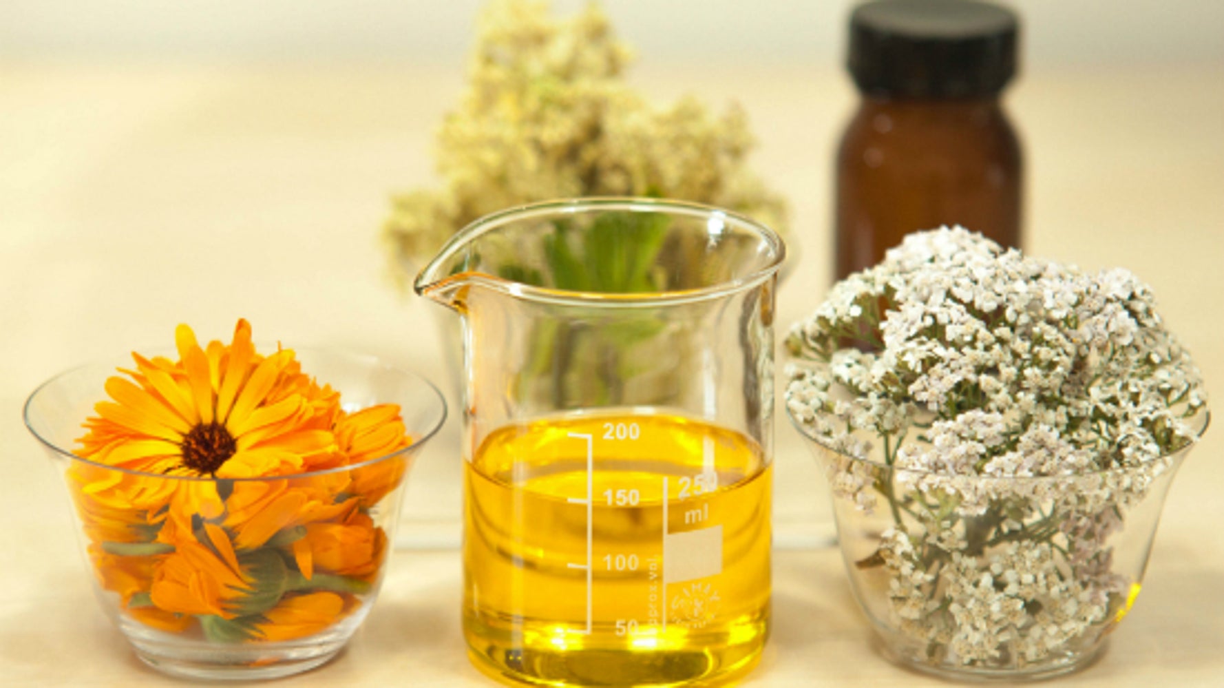 The Difference Between Flower Remedies and Essential Oils What You