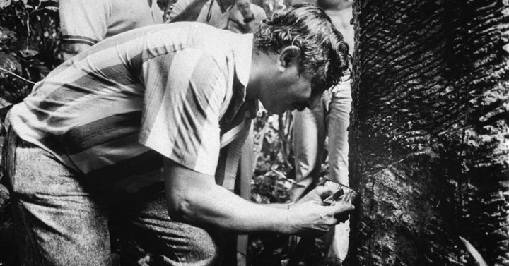 <p>Chico Mendes tapping rubber. Credit: UOL educação</p>