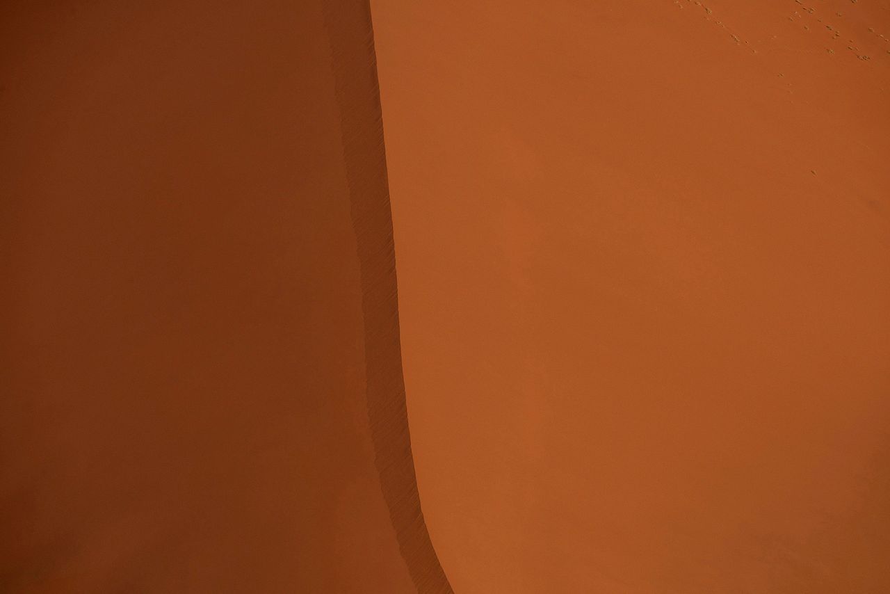 The vivid pink-to-orange color in some of the dunes is an indication of a high concentration of iron in the sand and consequent oxidation processes. The oldest dunes are those of a more intense reddish color.