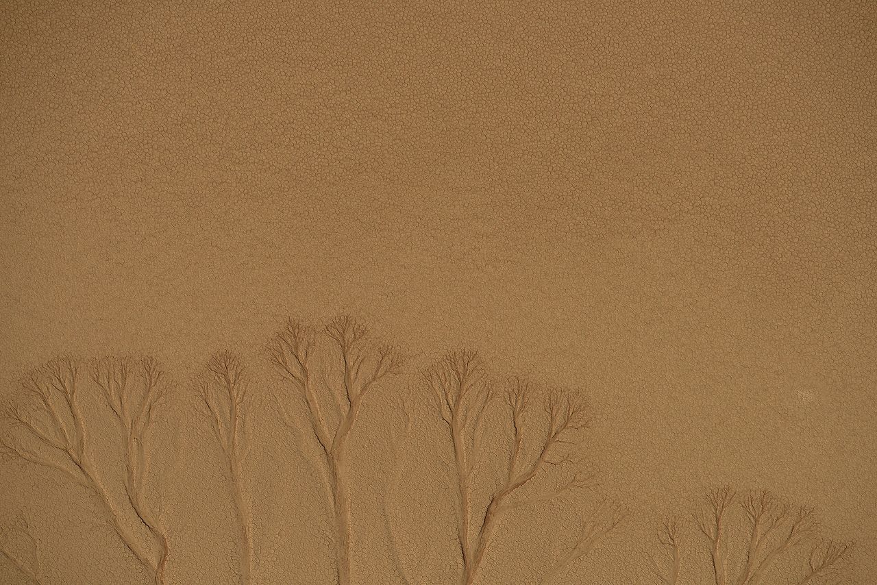 Resembling tree branches, dried up water runoff has left its scar on the Namib Desert in Namibia Africa on August 17, 2015. The desert gets less than .39 inches of rain annually.