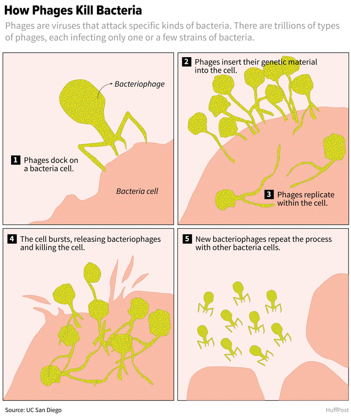 xericon Medical - Pathogens, Pathogens, Safety, Never Event