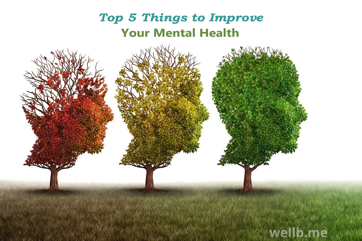 Top 5 Things to Improve Your Mental Health | HuffPost Contributor