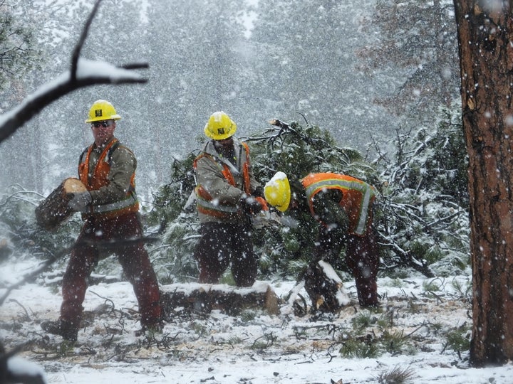 <p>Derek Barber served with the Southwest Conservation Corps Veterans Fire AmeriCorps program, leading to a job with the Alabama State Forest Commission </p>
