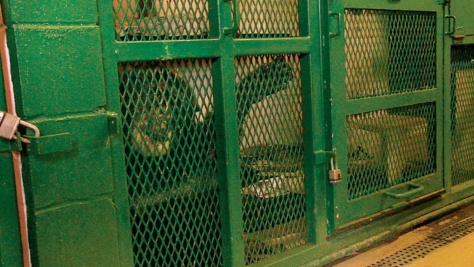 Chimpanzee Tommy, the NhRP’s first nonhuman animal client.