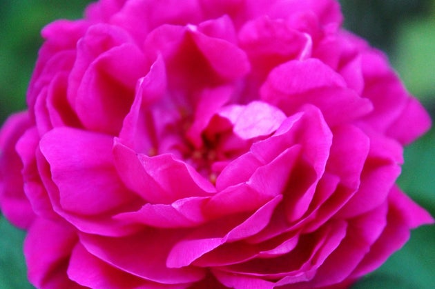 A Poem For My Wonderful Mother On Mother S Day Huffpost