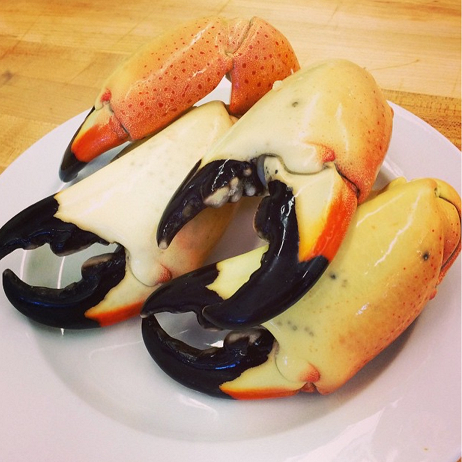 <p>Stone Crabs</p>