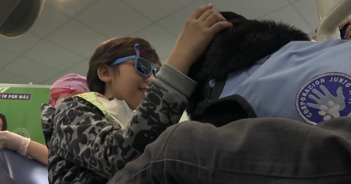 Therapy Dogs Bring Smiles To Kids With Autism, Even At The Dentist's ...