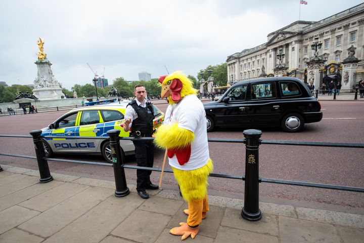 A Daily Mirror chicken outside Buckingham Palace when the PM visited to dissolve parliament