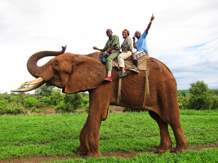 Elephant reserve in Zimbabwe