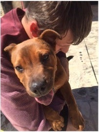Another of Kane’s passions...rescuing shelter dogs. Kane here with Sasha.