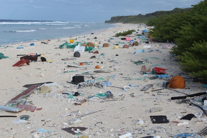 <strong>Plastic debris on East Beach, Henderson Island.</strong>