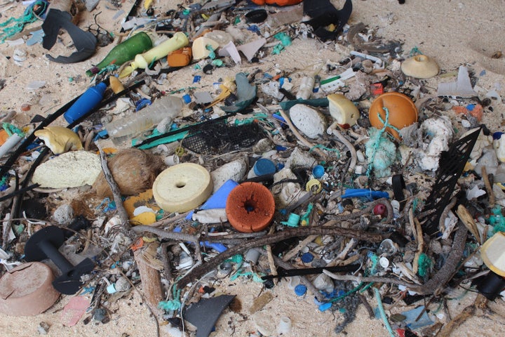 <strong>Plastic debris on East Beach, Henderson Island.</strong>