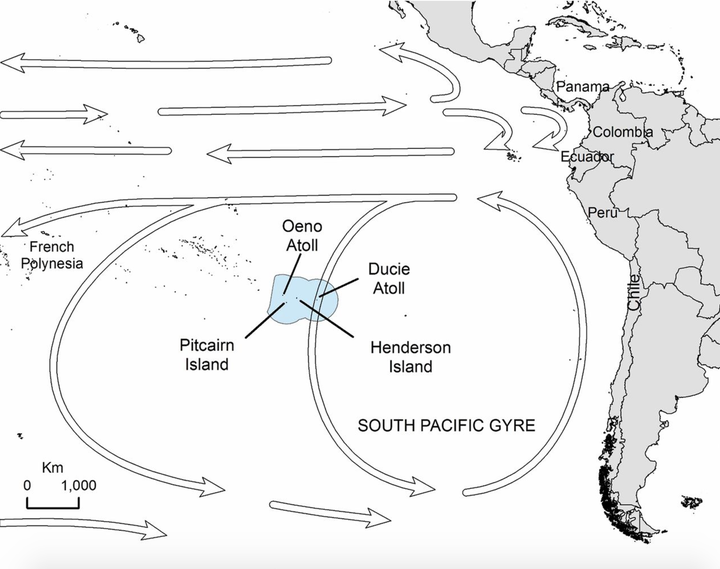 The location of Henderson Island. The boundary of the Pitcairn Islands Exclusive Economic Area is shown in light blue. Arrows indicate the direction of major oceanic currents and the South Pacific Gyre.