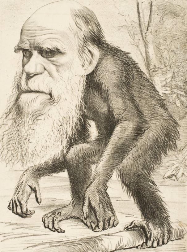 Students were asked to explain why Charles Darwin had been drawn as a monkey 