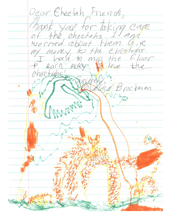 One of the many letters CCF receives from kids asking us to save the cheetah.