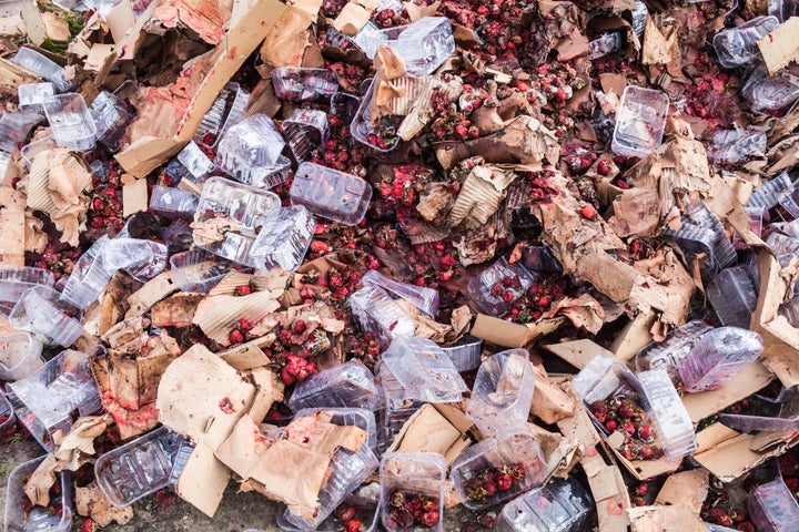 Half of the produce grown in the U.S. is discarded because t’s bruised, misshapen, discolored or has some other deformi
