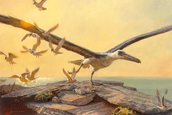 Pelagornis by James Gurney