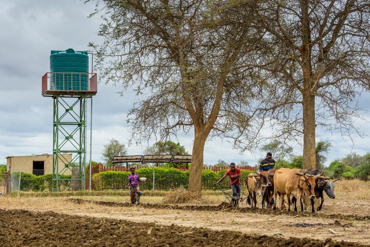 New partnerships are part of the solution. World Vision and Grundfos have joined forces to bring water to rural Zambia.