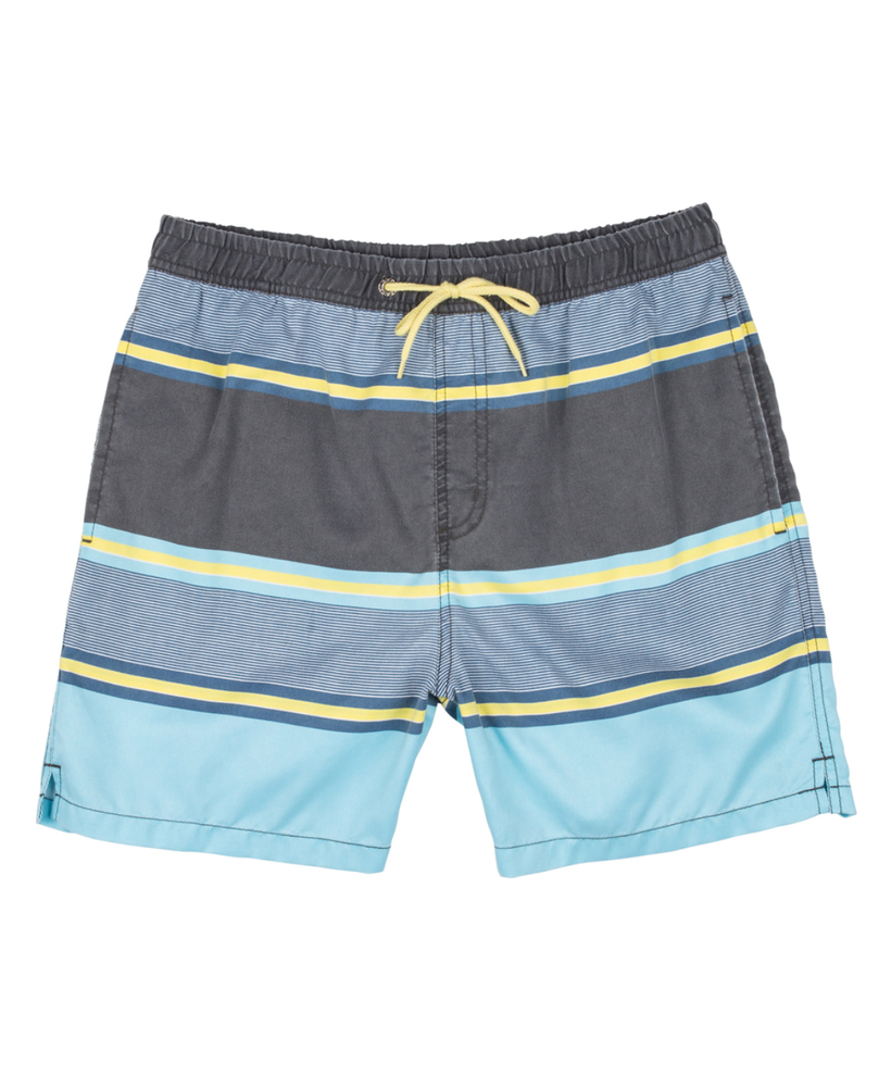 Blue Stripe Swim Trunks