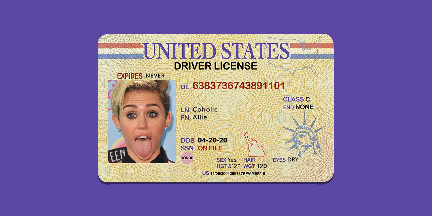 fake us id card