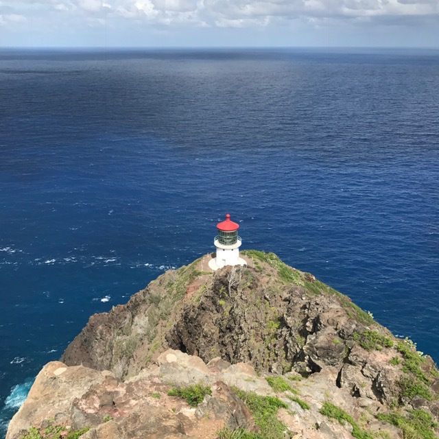 Stunning coastal views from the Makapuu Lighthouse trail. 