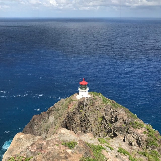 Stunning coastal views from the Makapuu Lighthouse trail.