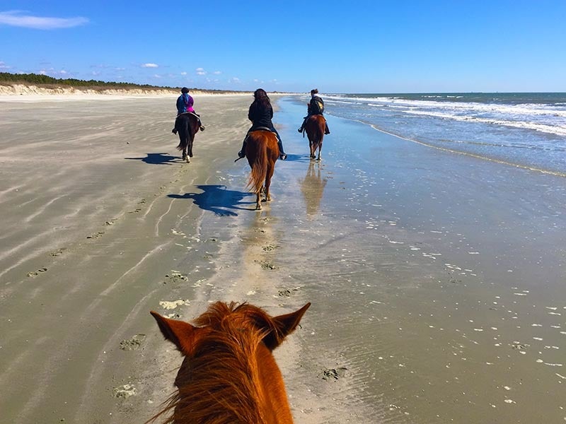 Bring your own horses, or rent horses from Inlet Point Plantation.