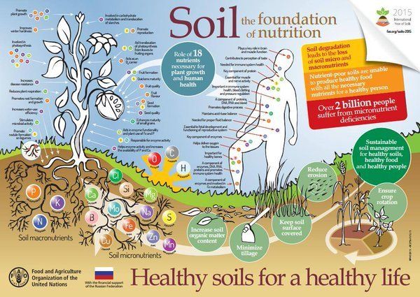 The nutrients in our soils are by nature linked to the nutrients we need for a healthy life: http://www.fao.org/soils-2015/resources/infographics/en/ 