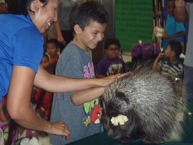 Porcupine classroom visit