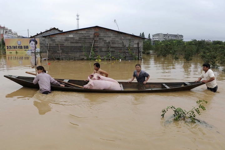<p> China takes a different approach to preventing the spread fatal disease. </p>