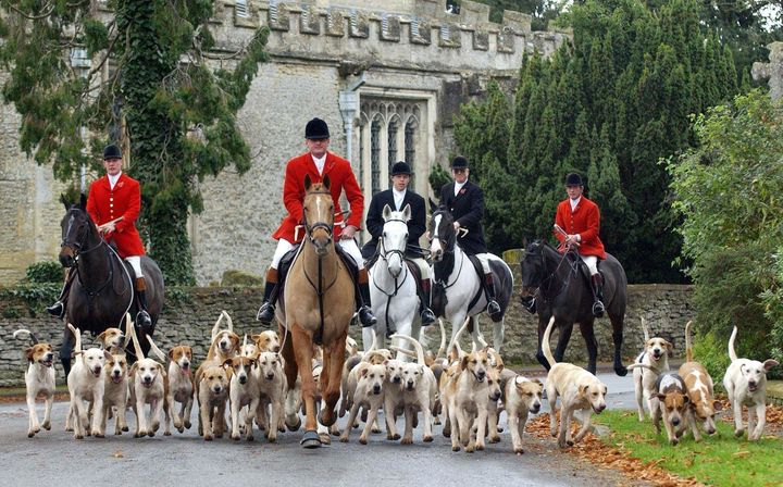 Fox hunting in its traditional form was banned under the Hunting Act 2004.
