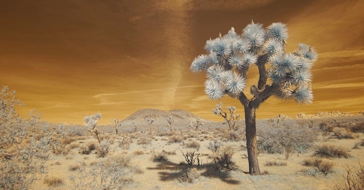 <p><em>Artist Richard Lee Smith Jr. will be featuring his latest painting and photography at his solo exhibition </em>-<em> May 20th in Topanga Canyon, CA. </em></p>