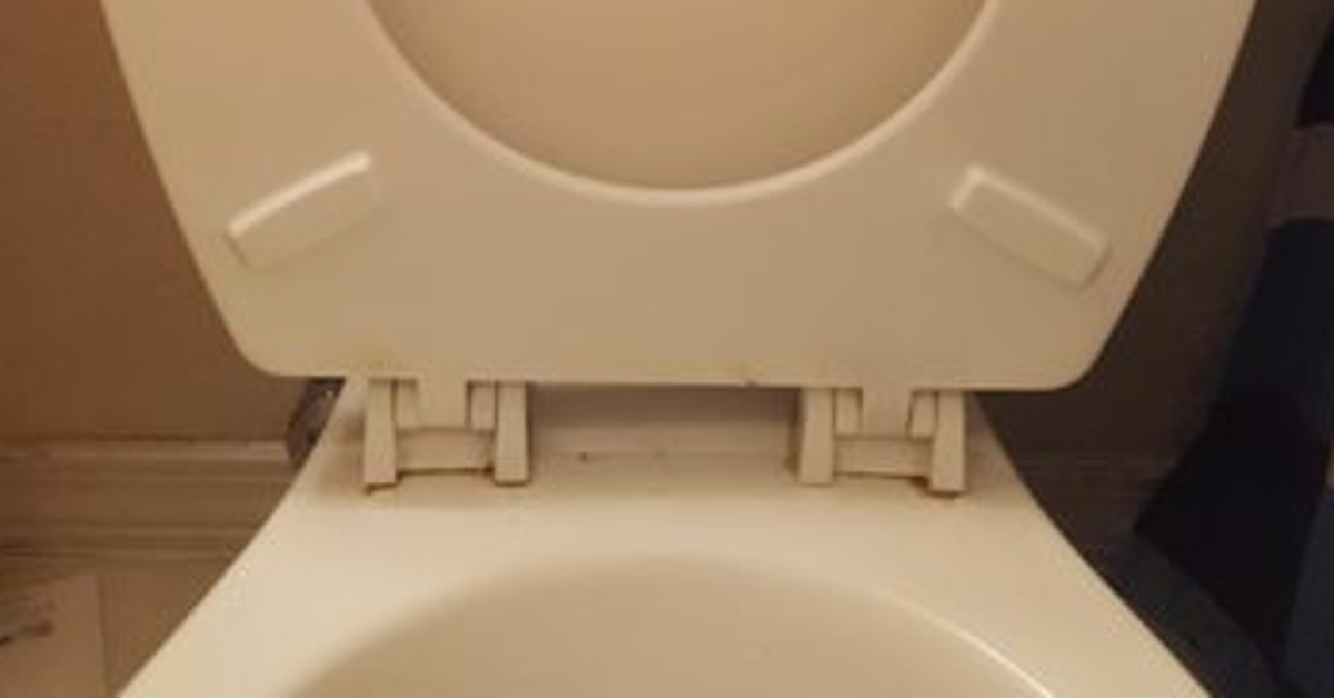 Girl Teaches Her Dad A Lesson When He Leaves The Toilet Seat Up