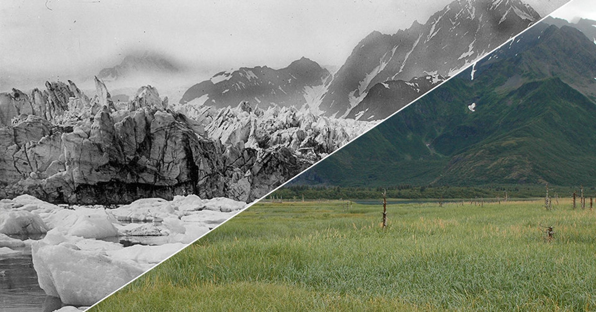 These Before And After Images Show The Startling Effects Of Climate