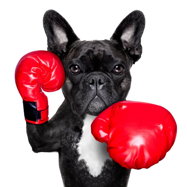 <p>As managers we don’t have a dog in the fight. We just do what the documents say. </p>