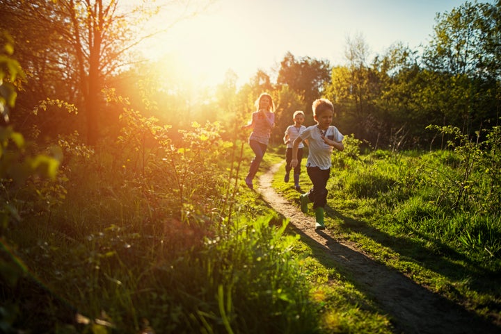 Ticks and bug bites: 'Tis the season!
